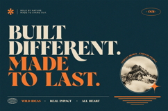 Wolffin - Bold Serif Font Product Image 6