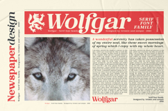 Wolfgar - Serif Font Family Product Image 11