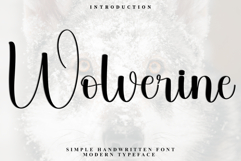 Wolverine Product Image 1