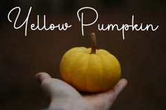 Woman Friend Product Image 2