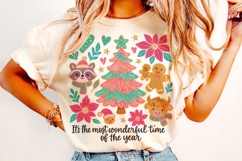 Wonderful Time of The Year PNG, Merry Christmas PNG, Holiday Product Image 2