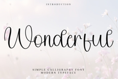 Wonderful Product Image 1