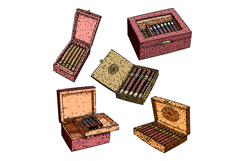 Hand drawn collection of wooden cigar boxes with cigars Product Image 1