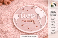 3D Monthly Milestone Disc Laser Cut. Two Months SVG Product Image 1