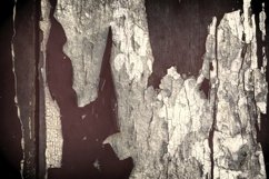 15x Vintage wooden plank backgrounds - Vol.1 Product Image 4