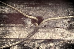 15x Vintage wooden plank backgrounds - Vol.1 Product Image 8