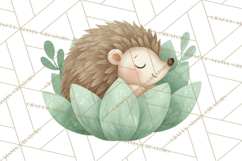 Woodland Nursery Clipart, Pastel Forest Animals PNG Product Image 4