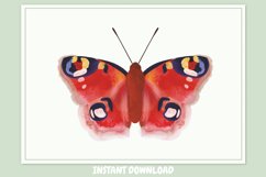Butterfly, watercolor, insect, isolated, fly, animal, nature Product Image 1