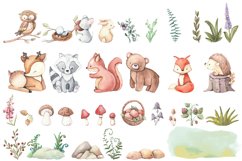 Woodland animals clipart. Forest cute baby animals clipart. Product Image 6