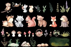 Woodland animals clipart. Forest cute baby animals clipart. Product Image 4