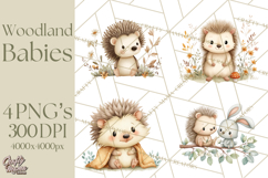 Soft Woodland Baby Clipart, Neutral Baby Shower PNG Product Image 1