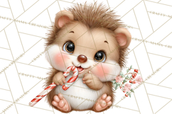 Christmas Woodland Animal PNG Kawaii Clipart Product Image 5