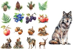 Woodland Clipart Watercolor PNG Bundle