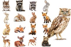 Woodland Clipart Watercolor PNG Bundle