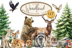 Woodland Clipart Watercolor PNG Bundle