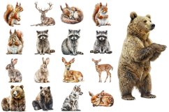 Woodland Clipart Watercolor PNG Bundle