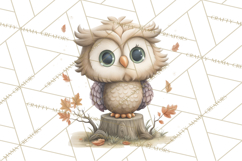 Whimsical Woodland Animals Clipart PNG, Cute Forest Creature Product Image 4