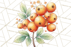 Woodland Forest Clipart PNG, Animals and Nature Elements Product Image 5