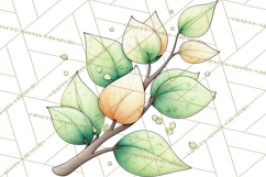 Woodland Forest Clipart PNG, Animals and Nature Elements Product Image 5