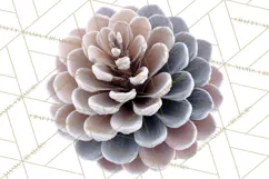 Winter Woodland Ornaments PNG Neutral Christmas Clipart Product Image 3