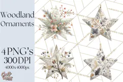 Winter Woodland Ornaments PNG Neutral Christmas Clipart Product Image 1