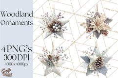 Winter Woodland Ornaments PNG Neutral Christmas Clipart Product Image 1