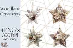 Winter Woodland Ornaments PNG Neutral Christmas Clipart Product Image 1