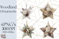 Winter Woodland Ornaments PNG Neutral Christmas Clipart Product Image 1