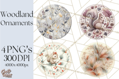 Winter Woodland Ornaments PNG Neutral Christmas Clipart Product Image 1