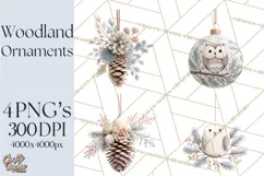 Winter Woodland Ornaments PNG Neutral Christmas Clipart Product Image 1