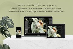 Woodland Photoshop Actions Lightroom Presets Mobile Filters Product Image 3