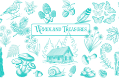 Woodland Sketch Art Rustic Cottagecore Product Image 1