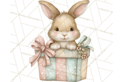 Pastel Woodland Christmas Animal Clipart PNG Product Image 5