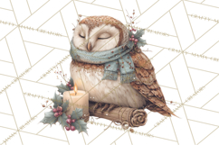 Muted Woodland Winter Animals PNG, Watercolor Forest Clipart Product Image 2