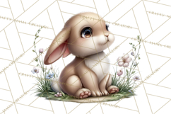Woodland Clipart, Forest Animals, Fairy Tale Clipart Png Product Image 5