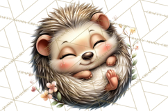 Woodland Clipart, Forest Animals, Fairy Tale Clipart Png Product Image 4
