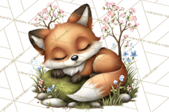 Woodland Clipart, Forest Animals, Fairy Tale Clipart Png Product Image 4