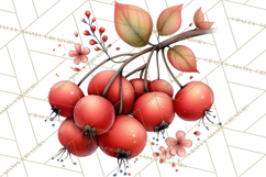Woodland Clipart, Forest Animals, Fairy Tale Clipart Png Product Image 5
