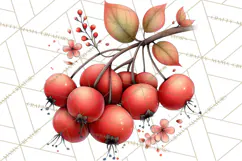 Woodland Clipart, Forest Animals, Fairy Tale Clipart Png Product Image 5