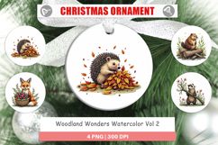 Woodland Wonders Ornament Product Image 1
