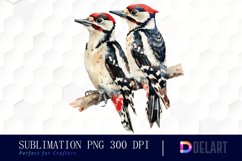 Woodpeckers Illustration Clipart Product Image 1