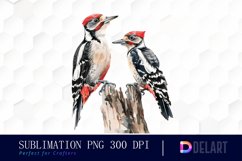 Woodpeckers PNG Clipart Product Image 1