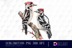 Woodpeckers PNG Clipart Product Image 1