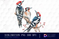 Woodpeckers Illustration Clipart Product Image 1