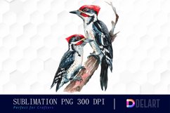 Woodpeckers PNG Clipart Product Image 1