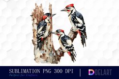 Woodpeckers Graphics Clipart Product Image 1