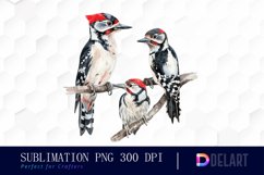 Woodpeckers PNG Clipart Product Image 1