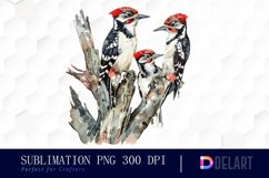 Woodpeckers Watercolor Clipart Product Image 1