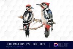 Woodpeckers PNG Clipart Product Image 1