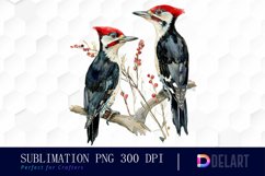 Woodpeckers Watercolor Clipart Product Image 1